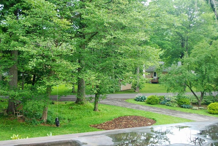Before photos of the area that would become the Daffodil Dell. On the left you can see that it was just lawn, and on the right where we began making the first bed in 2014