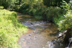 River scene