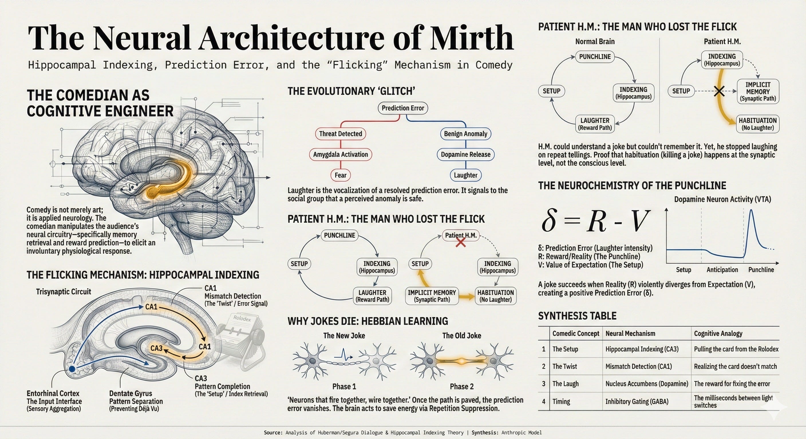 The Neural Architecture of Mirth