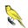 The Reactionary Canary's avatar