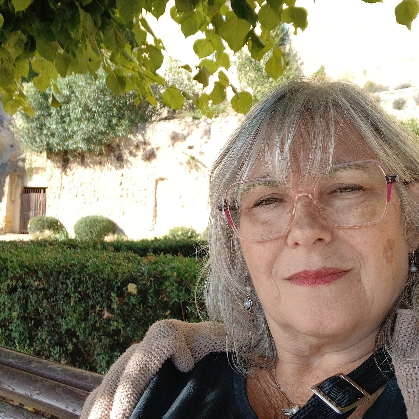 Jeannine's 3 P's: Poetry, Photography, Painting