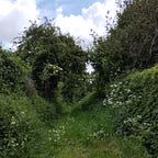 Willerby’s Substack