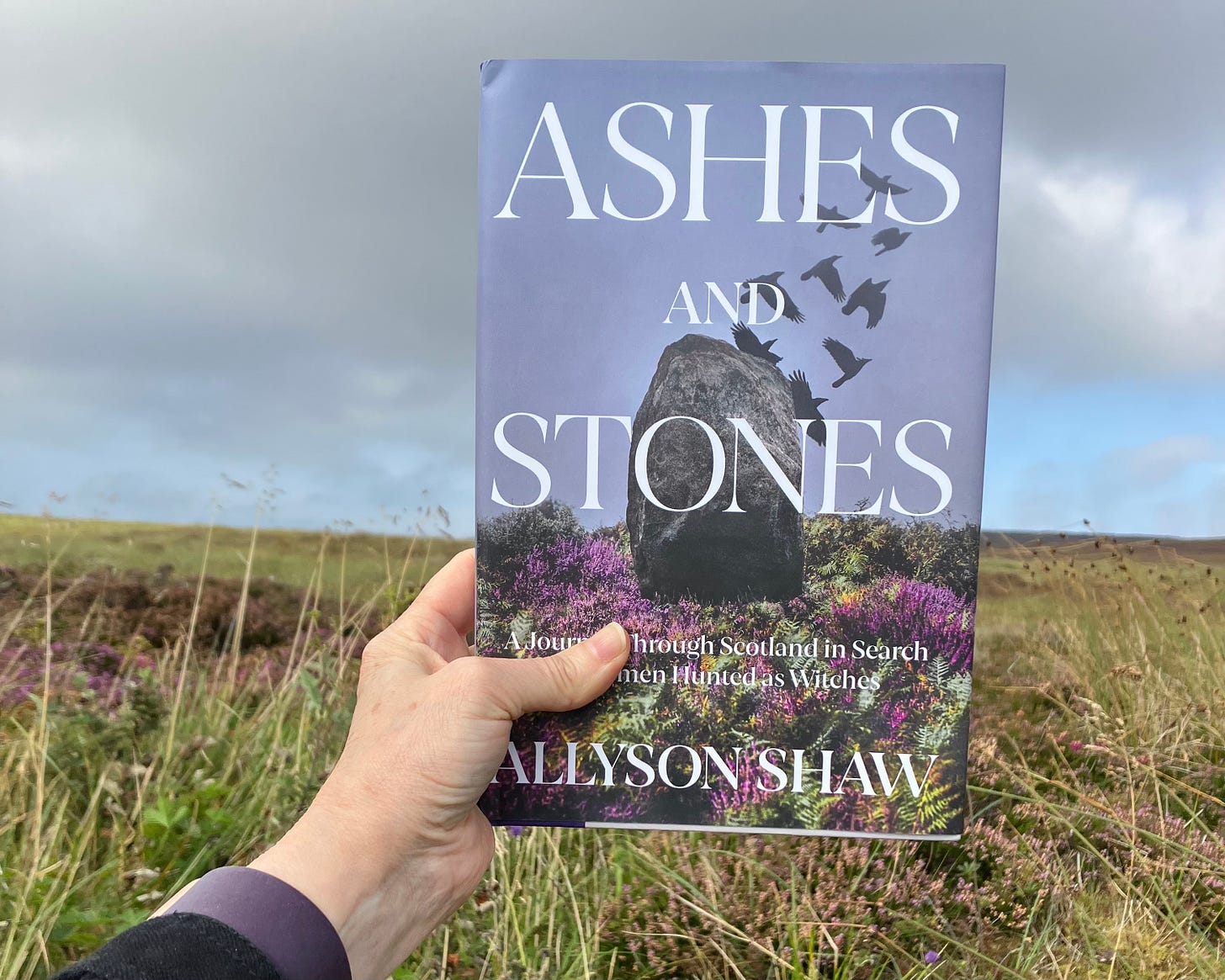 A hand holding a hard back book titled Ashes and stones, which features a photograph of a standing stone and moorland. The sky is grey and filled with ravens. The hand is holding the book in actual moorland, with heather blooming and the horizon on the book cover matches the horizon in the photo.