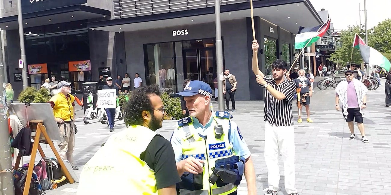 Pro-Palestine Protest Sees Large Police Presence