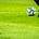 The First Team Eleven's avatar