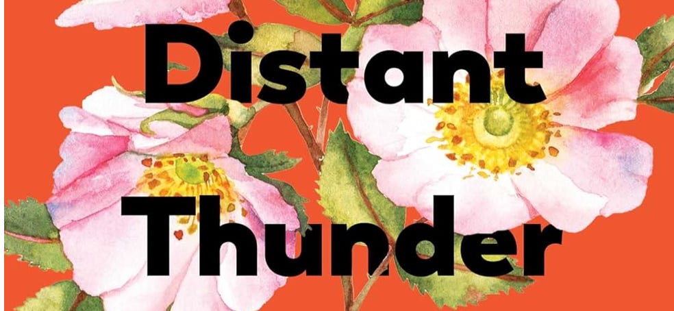Book Review: Honeybees And Distant Thunder by Onda Riku - Translated by Philip Gabriel