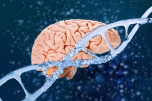 DNA strand superimposed over a brain