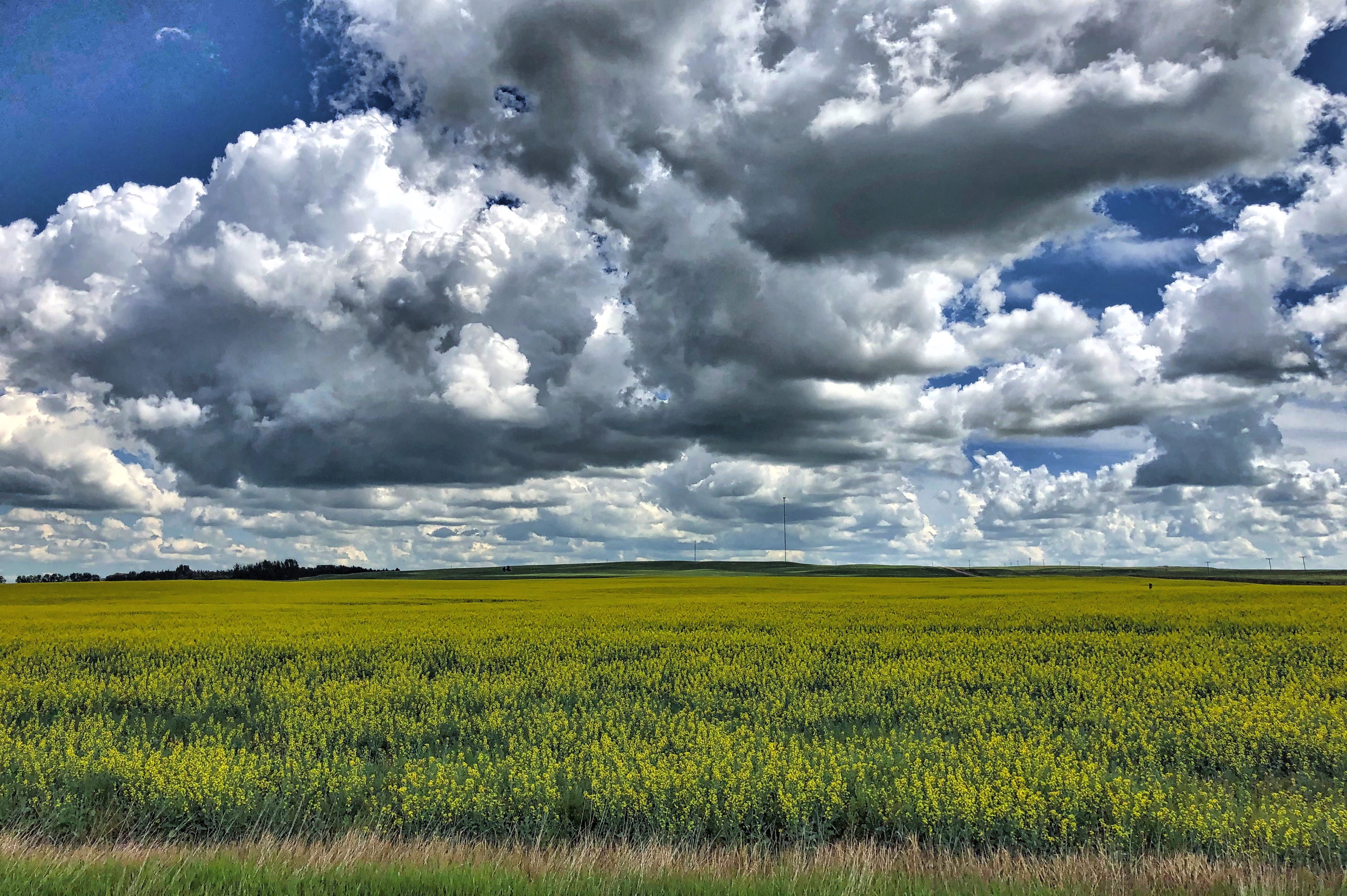 The Most Self-Employed Riding in Canada (2/343)