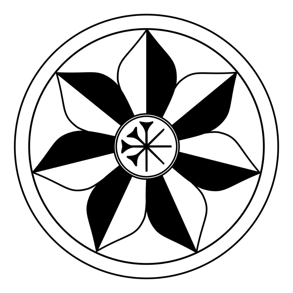 The Shadowmancer Chronicles