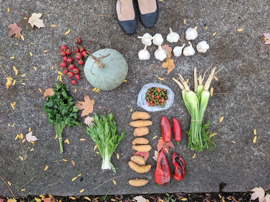 farmers market feet and produce