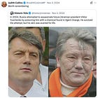 Why is Judith Collins and the New Zealand Government so pro-Ukraine?