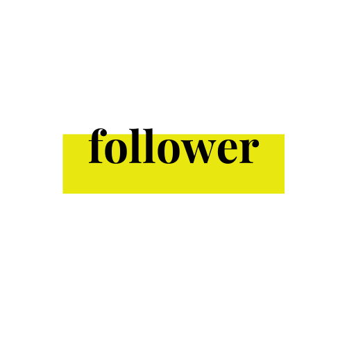 Substack profile picture for @follower
