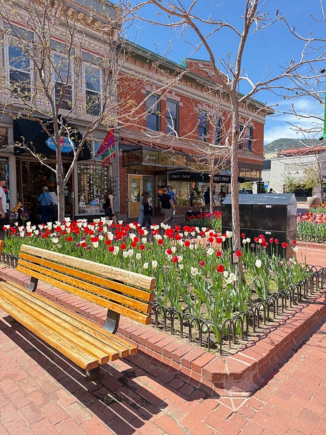 A photo gallery featuring moments from daily life and wellness: a charcuterie board, a cozy dog lounging on a bed, snowy mountain scenes, skiing, smiling couple, a local Boulder shop sign, spring flowers, a knit project, and a scenic desert hike.” This keeps it keyword-relevant (wellness, nature, lifestyle, Boulder, cozy, daily moments) and descriptive enough for accessibility.