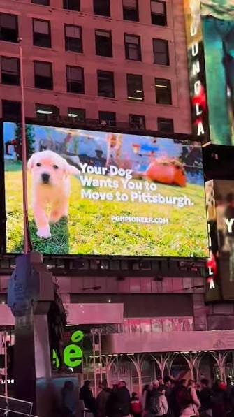 NYC, your dog wants you to move to Pittsburgh. 🐶 , Why? Space to breathe and play. Four beautiful seasons. A porch and a yard. Friendly neighbors. Nature around every corner. Starting to sound pretty ... NYC, your dog wants you to move to Pittsburgh. 🐶 , Why? Space to breathe and play. Four beautiful seasons. A porch and a yard. Friendly neighbors. Nature around every corner. Starting to sound pretty ...