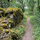 How to Read the Land the Way You Read a Sacred Text
