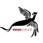 Oasys Cultural's avatar