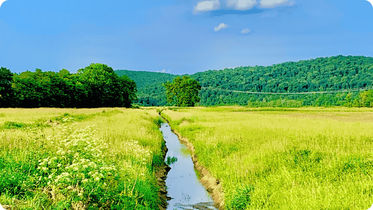 Narrow irrigation channel running through a bright green farm field with trees and forested hills in the background under a clear blue sky.