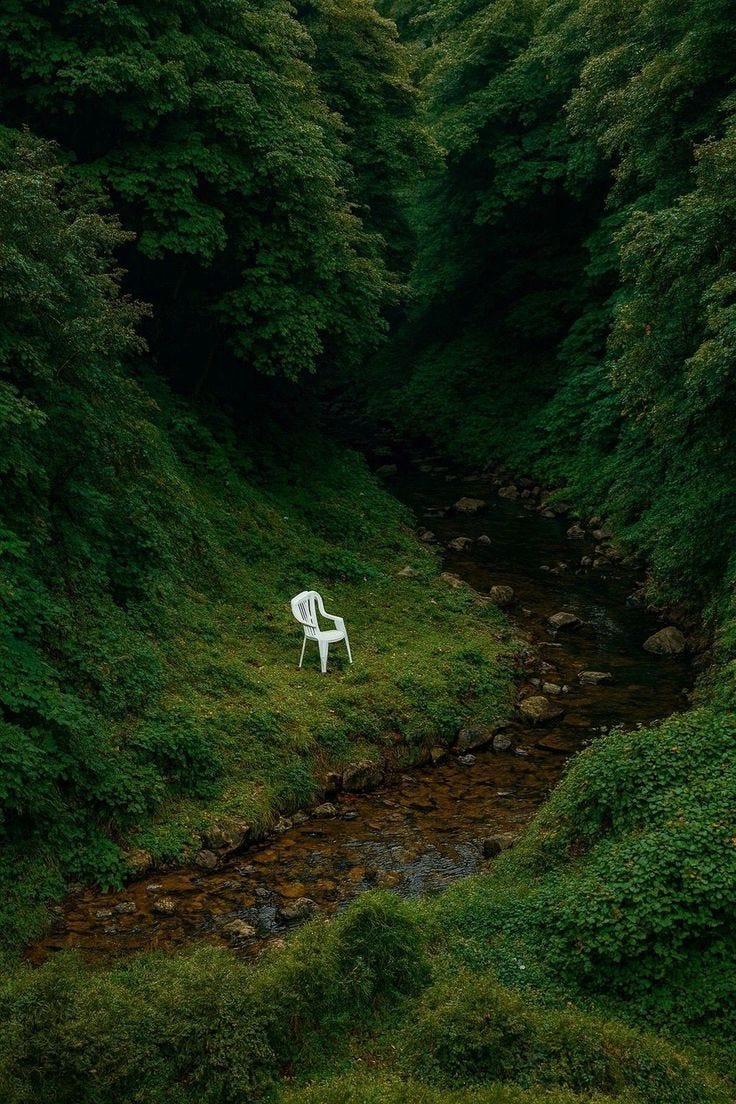 This may contain: a white chair sitting on top of a lush green field next to a stream in the forest