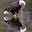 Motorhead's avatar
