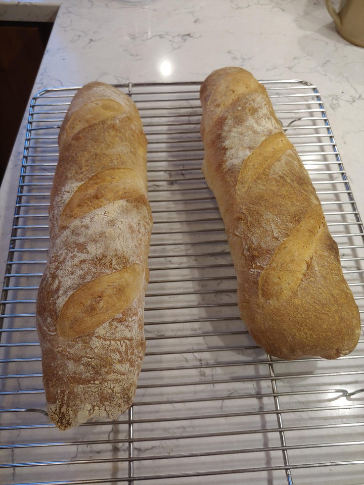 Image description: loaves of bread. They all look pretty good. But they could be better.