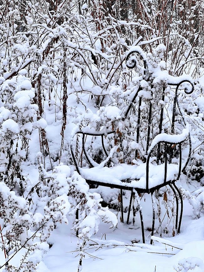 A creek running through a winter forest with snow. A metal chair in a garden covered in snow.