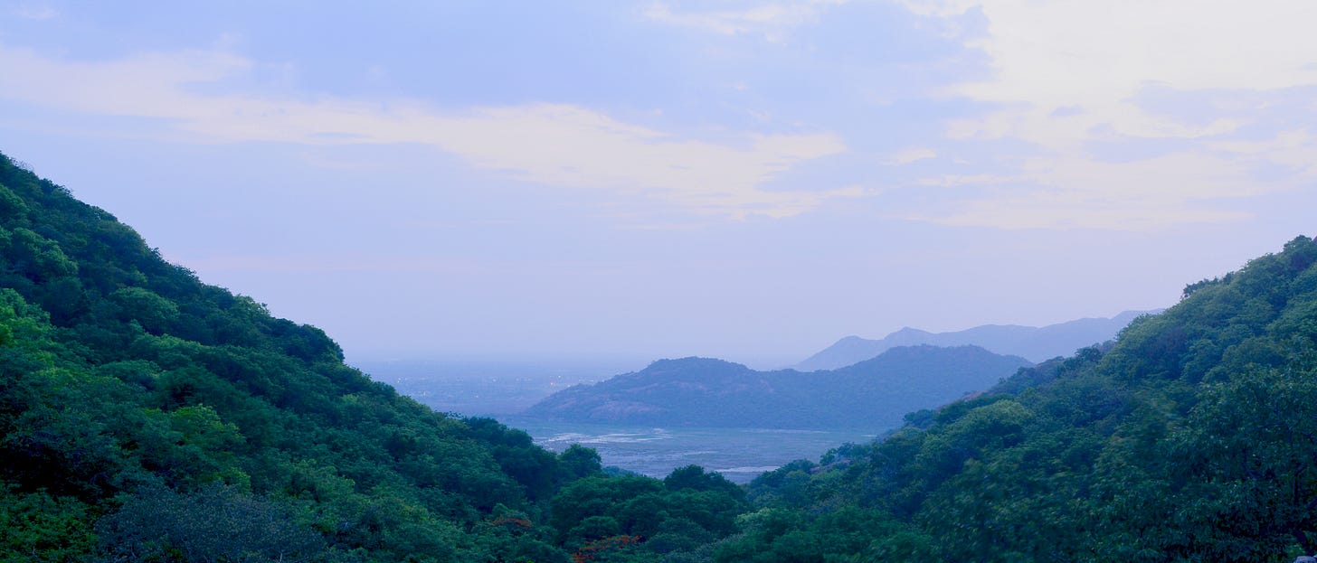 File:Kondapalli Reserve Forest.jpg - Wikimedia Commons