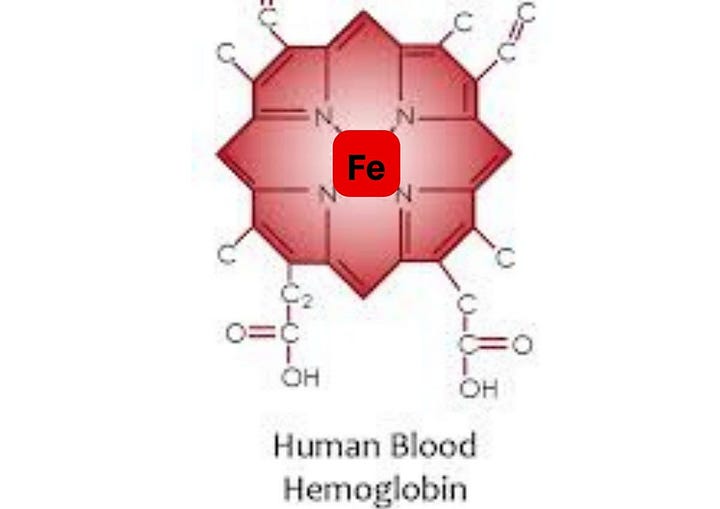 (L) Cytochrome c oxidase: the orange ball in the middle is heme (R) hemoglobin, which carries oxygen