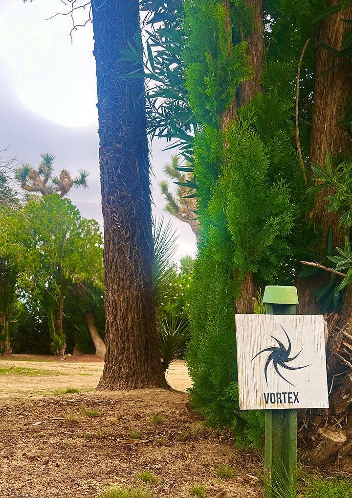 The Land and the Observer