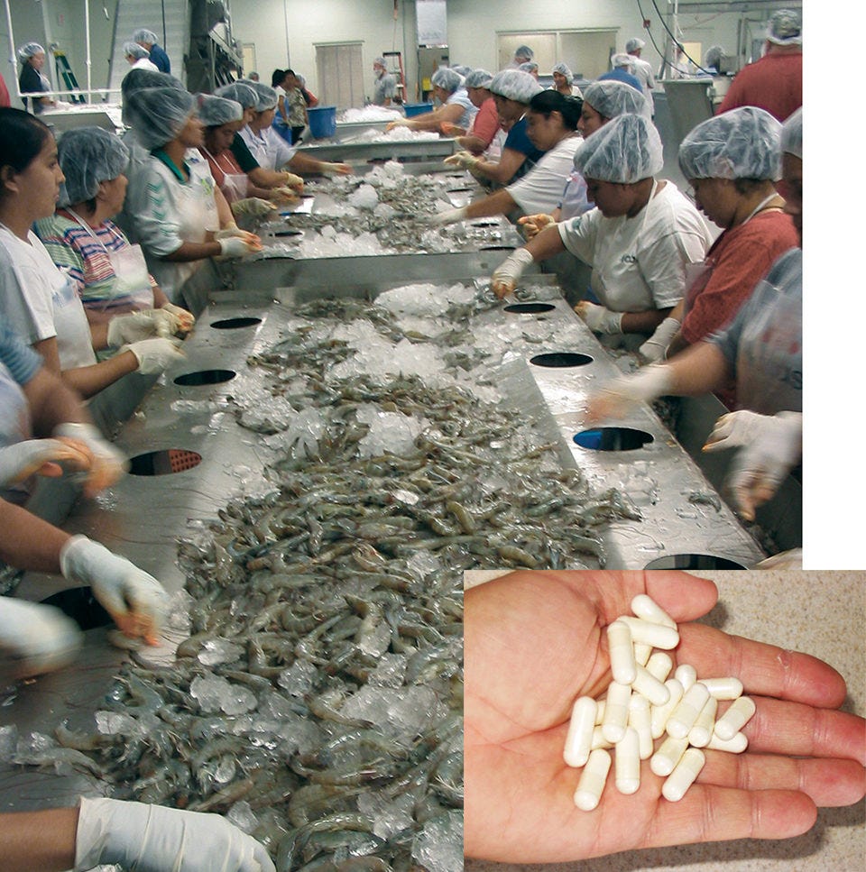 Shrimp processing byproducts find many uses - Responsible Seafood Advocate