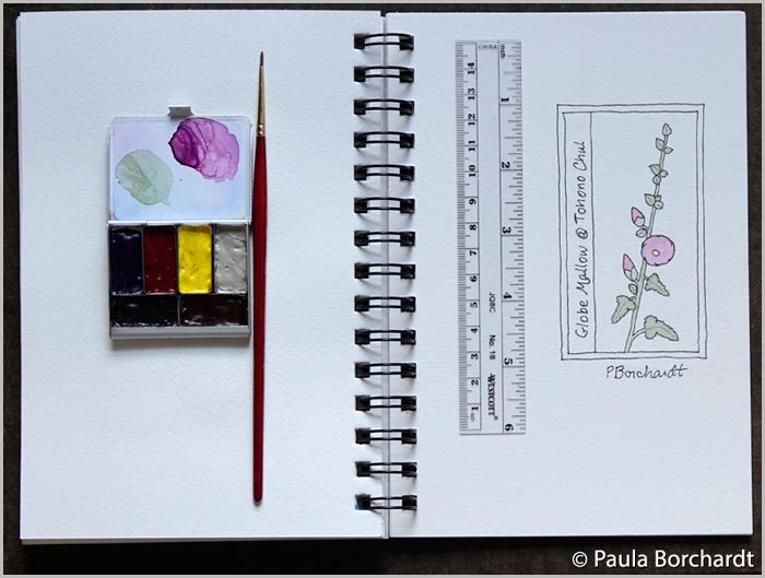 My teeny tiny watercolor palette, favorite tiny “000” size brush, ruler, and Globe Mallow @ Tohono Chul (pen & watercolor; unfinished) My teeny tiny watercolor palette, favorite tiny “000” size brush, ruler, and Globe Mallow @ Tohono Chul (pen & watercolor; unfinished)
