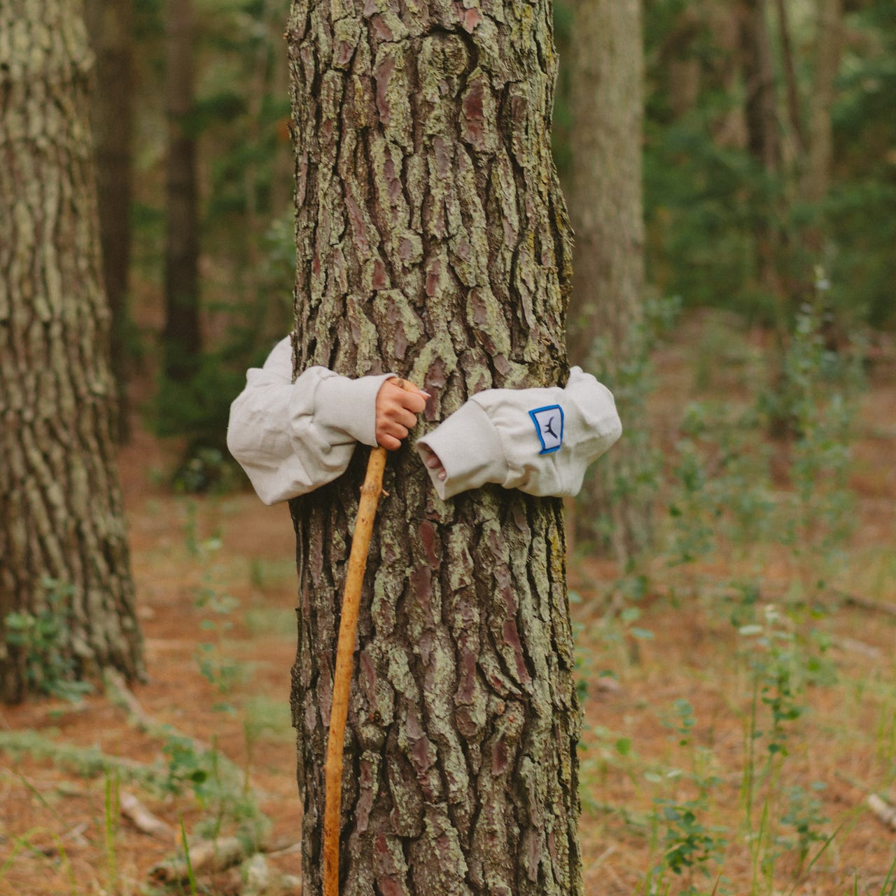 Artwork for Antes usaba blogspot