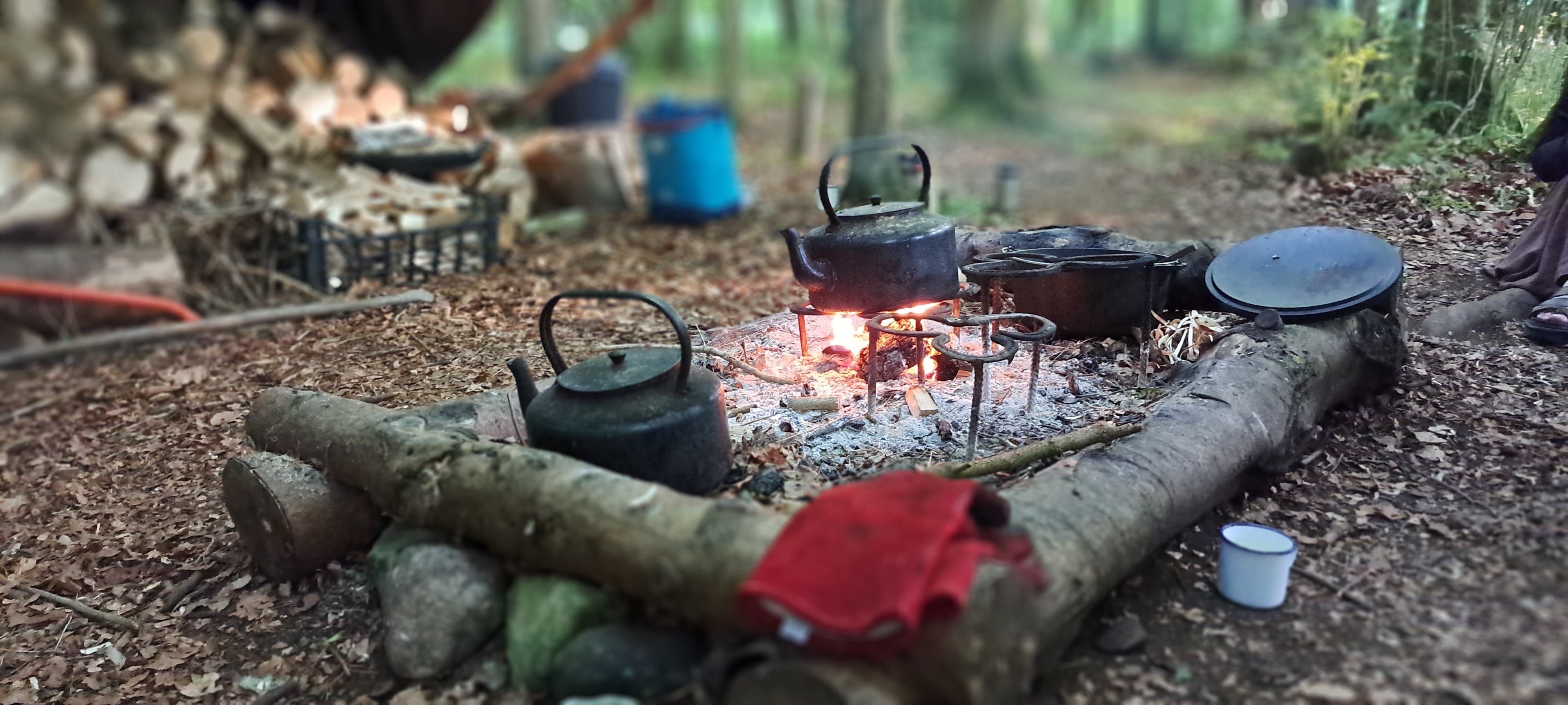 A rectangular hearth made from logs and large stones, slightly raised from the forest floor. An old iron kettle sits on a tripod above the flames boiling water for tea.  various pots and tools for cooling lay beside the hearth. Beyond is the wood pile, covered with a tarpaulin.