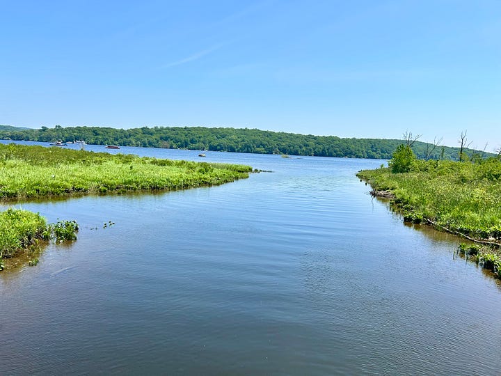 grass, trees, water, hills