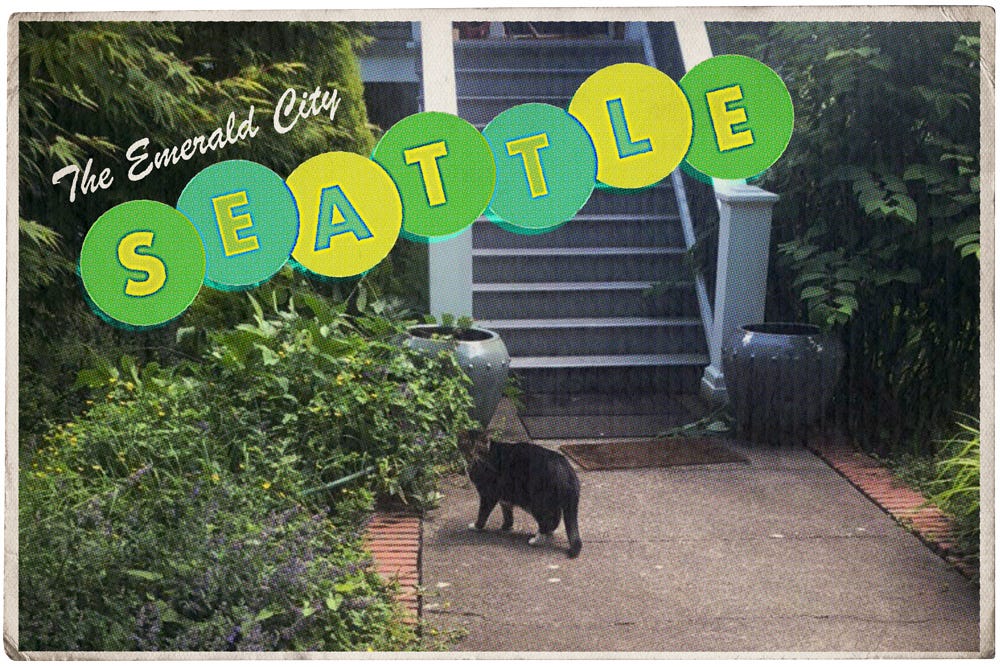 A drak gray tabby cat in front of a slate blue stoop in a seattle postcard frame