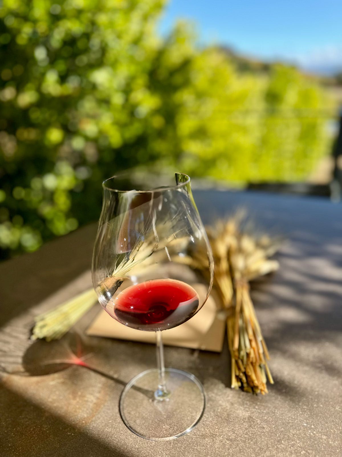 Splash of pinot at Kistler