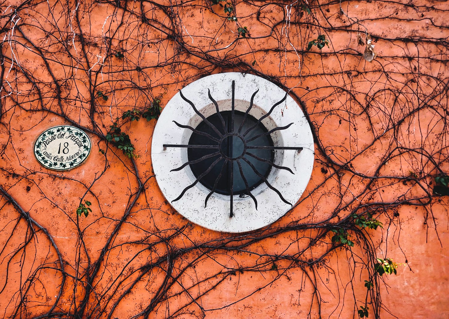 A small round window trimmed in white with wiggly iron bars in front. The copper-colored wall has the remainder of vines clinging to it and to the left a small placard with the address Paseo del Parque 18 antes Calle Nueva