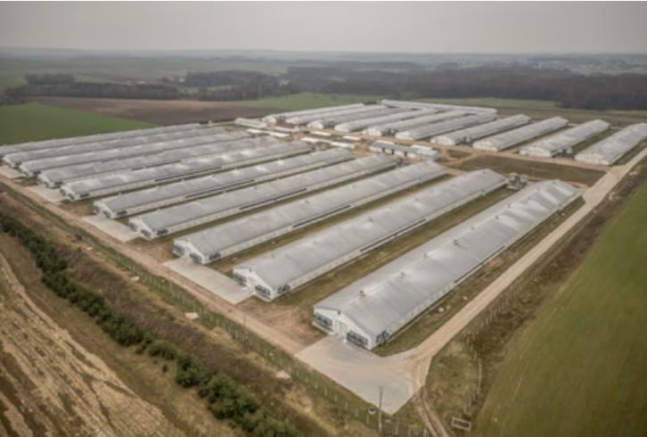 Mega Farm The Rise of the Mega-Farm State - Animal Rising