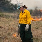 As Appalachia Rebuilds from Hurricane Helene, Trump Administration Guts the Forest Service
