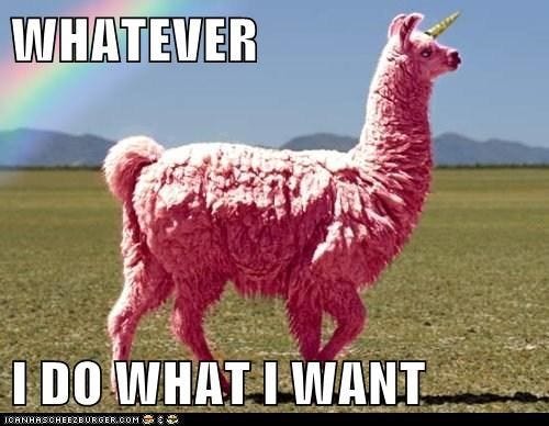 WHATEVER I DO WHAT I WANT | Llama, Lol, Hilarious