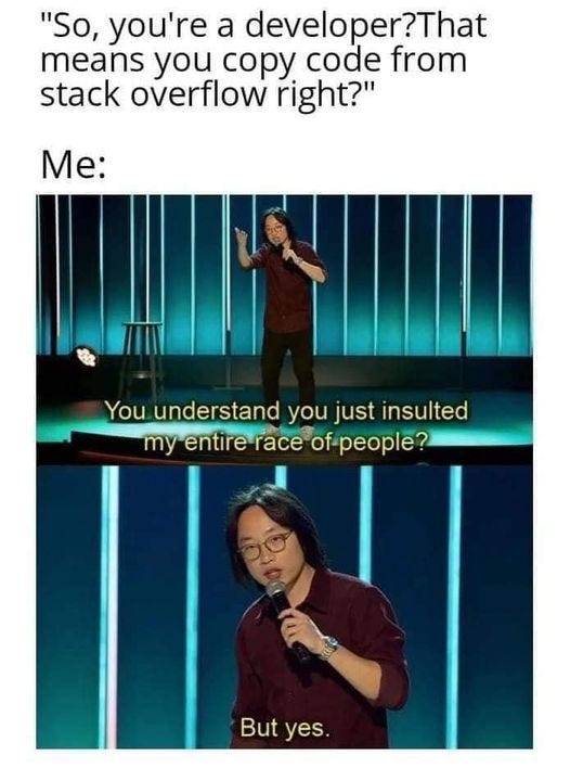 May be an image of 2 people and text that says '"So, you're a developer?That means you copy code from stack overflow right?" Me: You understand you just insulted my entire race of people? But yes.'