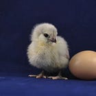 Chapter 2: The "chicken or egg" dilemma – Start with the character or the plot?