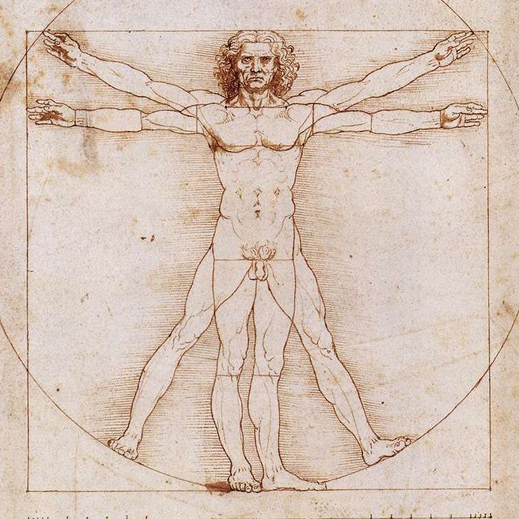 Anatomy professor uses 500-year-old da Vinci drawings to guide cadaver  dissection | NOVA | PBS