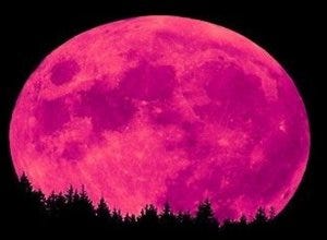 Pink Moon