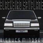 This ILL '86 Hy*ndai can teach us a lot about being our swaggiest selves