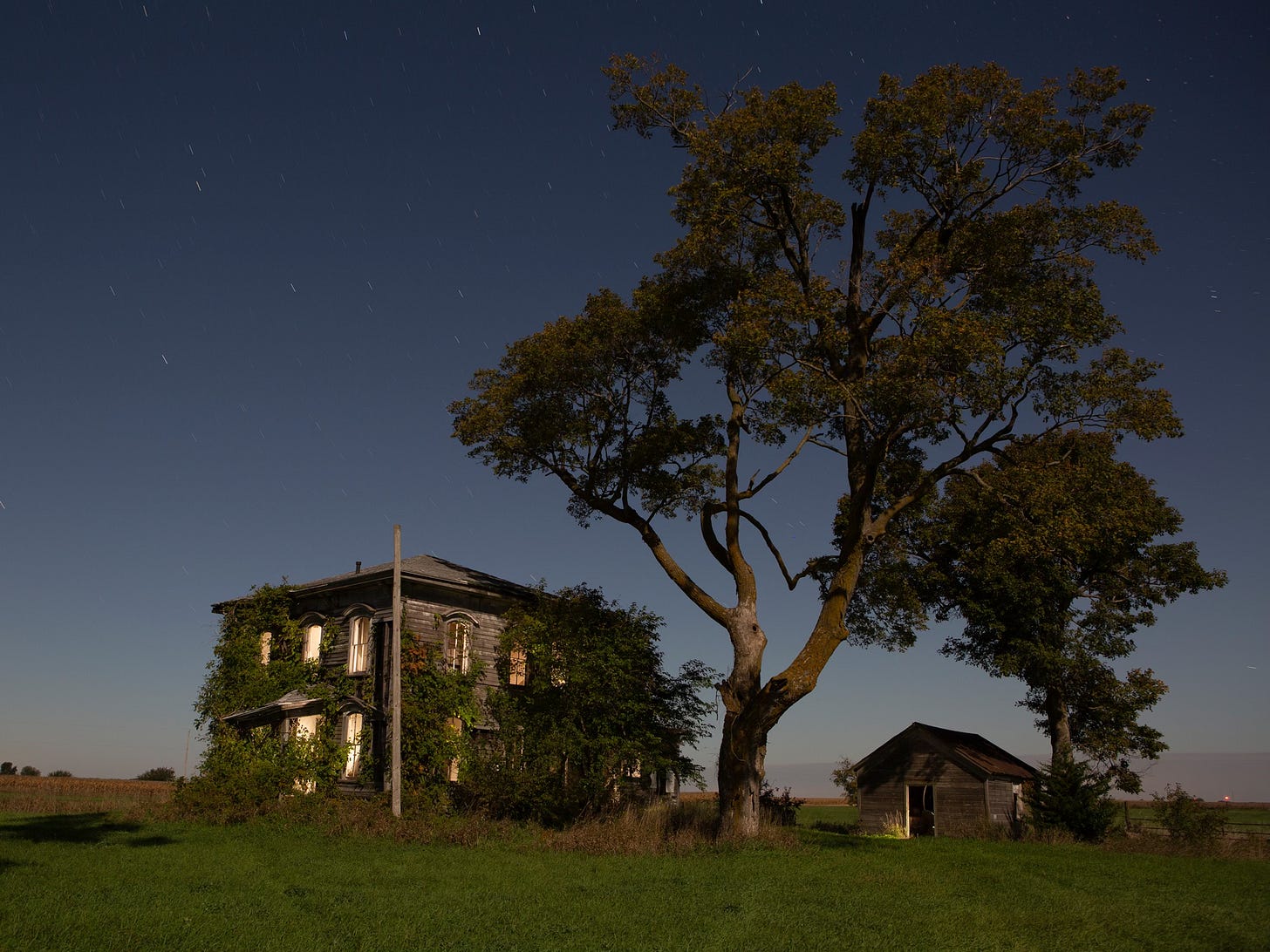 Abandoned house is covered with vines next to a giant tree underneath a big blue night sky full of stars Abandoned house is covered with vines next to a giant tree underneath a big blue night sky full of stars