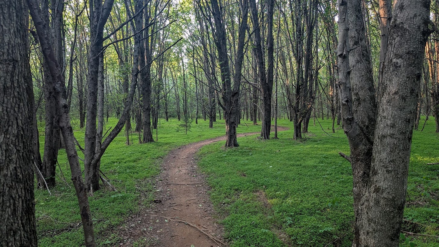 Holsten Creek Park in Inman, Sc