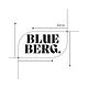 The Blueberg Journal