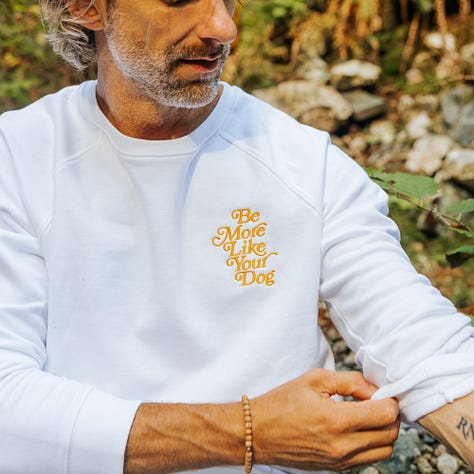 awkward man frolics around stream with dogs wearing very nice merch from be more like your dog