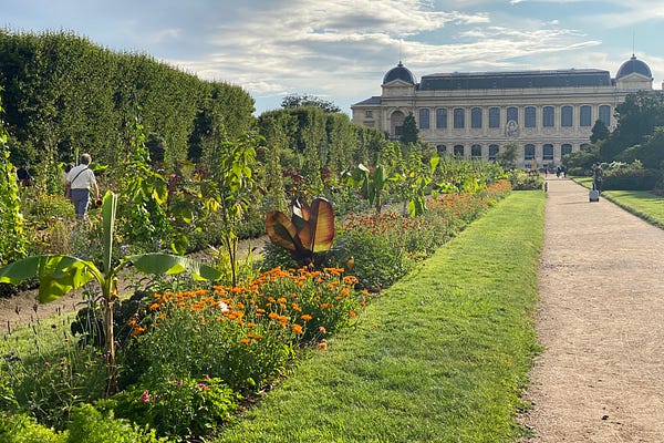 Paris by Mouth | Meg Zimbeck | Substack