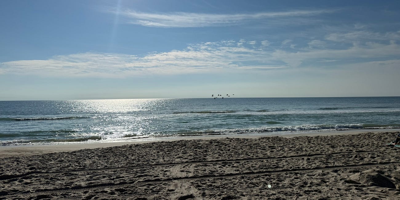 Protecting Our Oceans, Beaches and Waterways